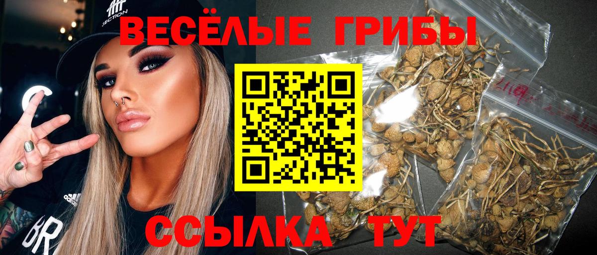 Керчь  где продают   Вход с VPN  Галлюциногенные грибы GOLDEN TEACHER 