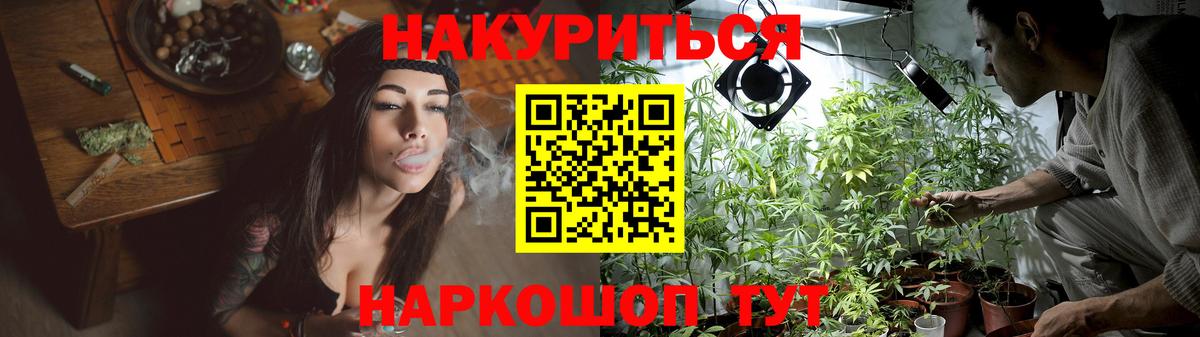 Каннабис план  Бошки Шишки OG Kush  Конопля Bruce Banner  Керчь  Вход с VPN 